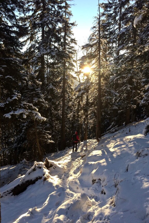 Outville_Wanderung Scheinbergspitze_2
