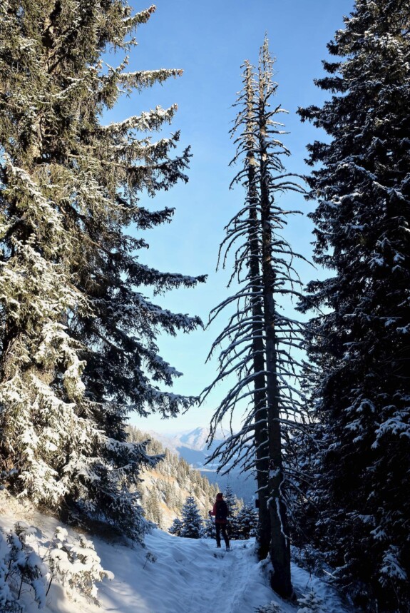Outville_Wanderung Scheinbergspitze_21