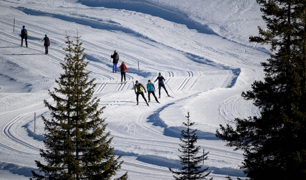 01_Outville_Langlauf Seiser Alm_Loipenralley