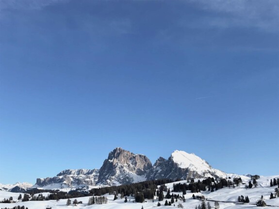 01_Outville_Langlauf Seiser Alm_Panorama Langkofel und Plattkofel