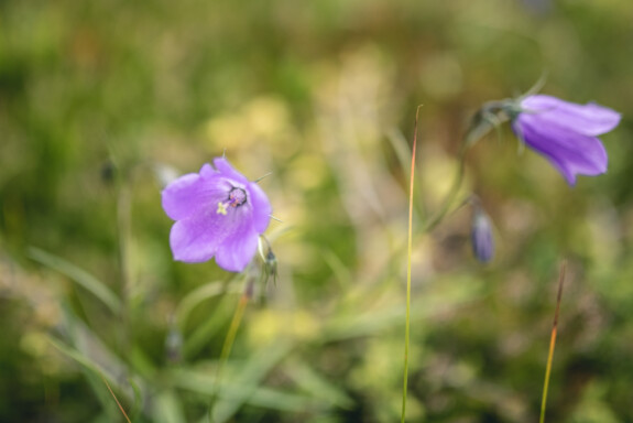 Outville Sellrainer Hüttenrunde 02_6
