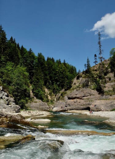 Outville_Family Bikepacking_Staffelsee_Forggensee_Ammerschlucht_Scheibum