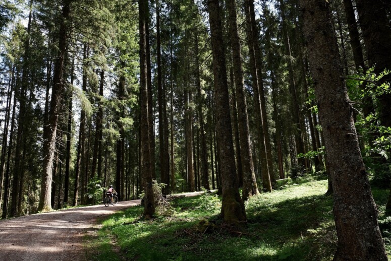 Outville_Family Bikepacking_Staffelsee_Forggensee_auf dem Weg zum höchsten Punkt am zweiten Tag