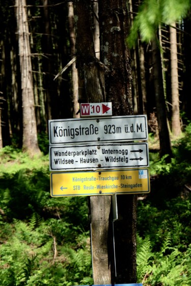 Outville_Family Bikepacking_Staffelsee_Forggensee_back on track