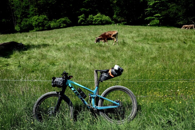 Outville_Family Bikepacking_Staffelsee_Forggensee_Bikelove_Cowlove