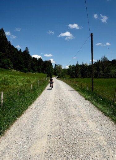 Outville_Family Bikepacking_Staffelsee_Forggensee_es rollt bergab
