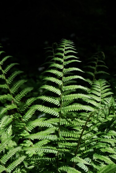 Outville_Family Bikepacking_Staffelsee_Forggensee_Farne all over