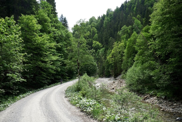 Outville_Family Bikepacking_Staffelsee_Forggensee_Halbammertal