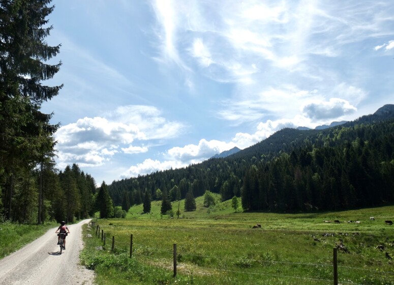 Outville_Family Bikepacking_Staffelsee_Forggensee_Hochplateau zwischen Halblech und Unternogg