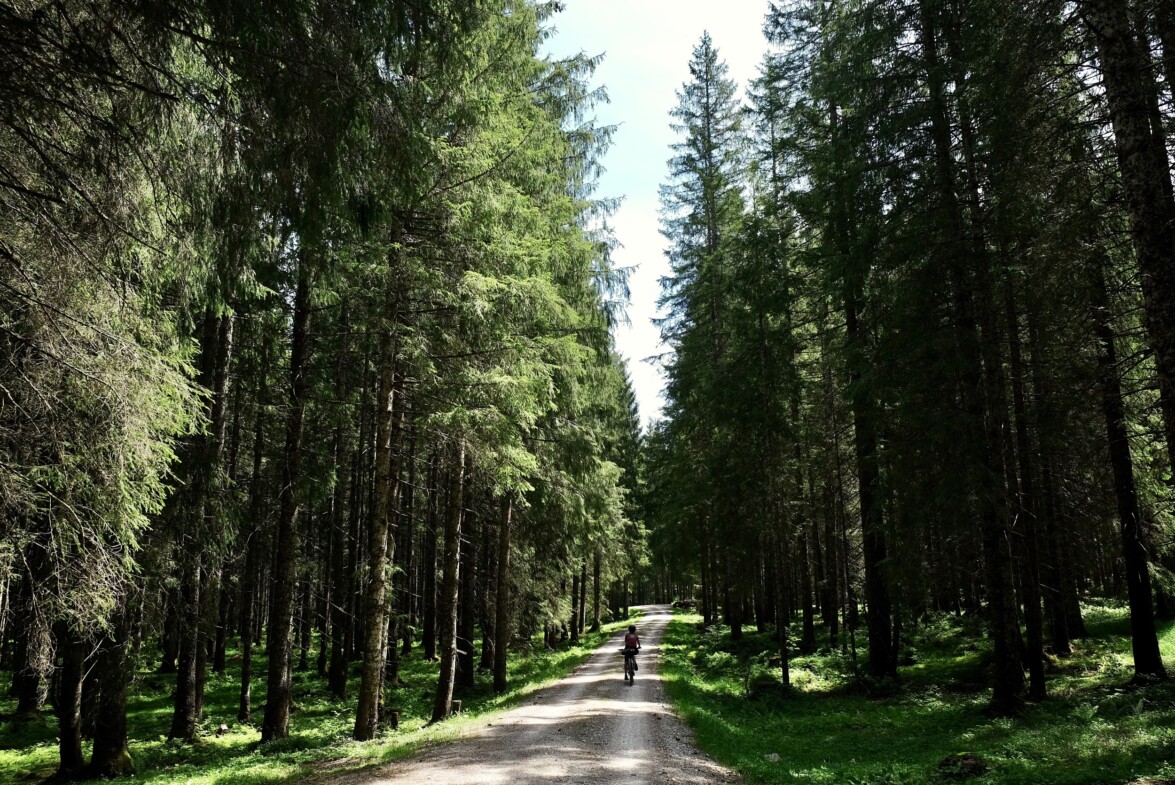 Outville_Family Bikepacking_Staffelsee_Forggensee_Märchenwald