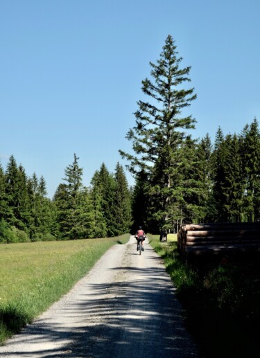 Outville_Family Bikepacking_Staffelsee_Forggensee_Paul und die Tannen