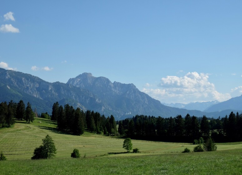 Outville_Family Bikepacking_Staffelsee_Forggensee_Säuling mit Schloss Neuschwanstein