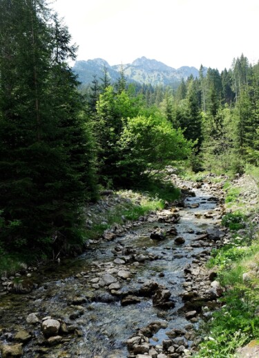 Outville_Family Bikepacking_Staffelsee_Forggensee_überall ist Wasser