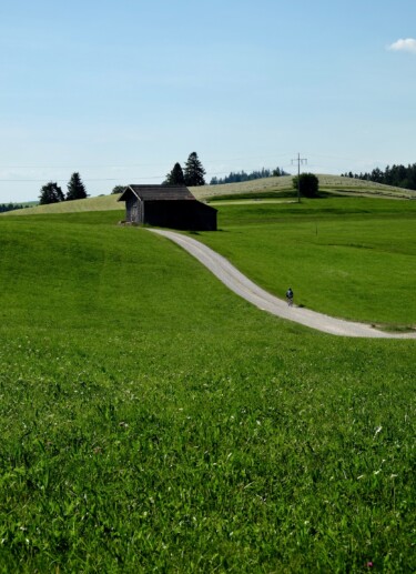 Outville_Family Bikepacking_Staffelsee_Forggensee_wer findet Paul-2