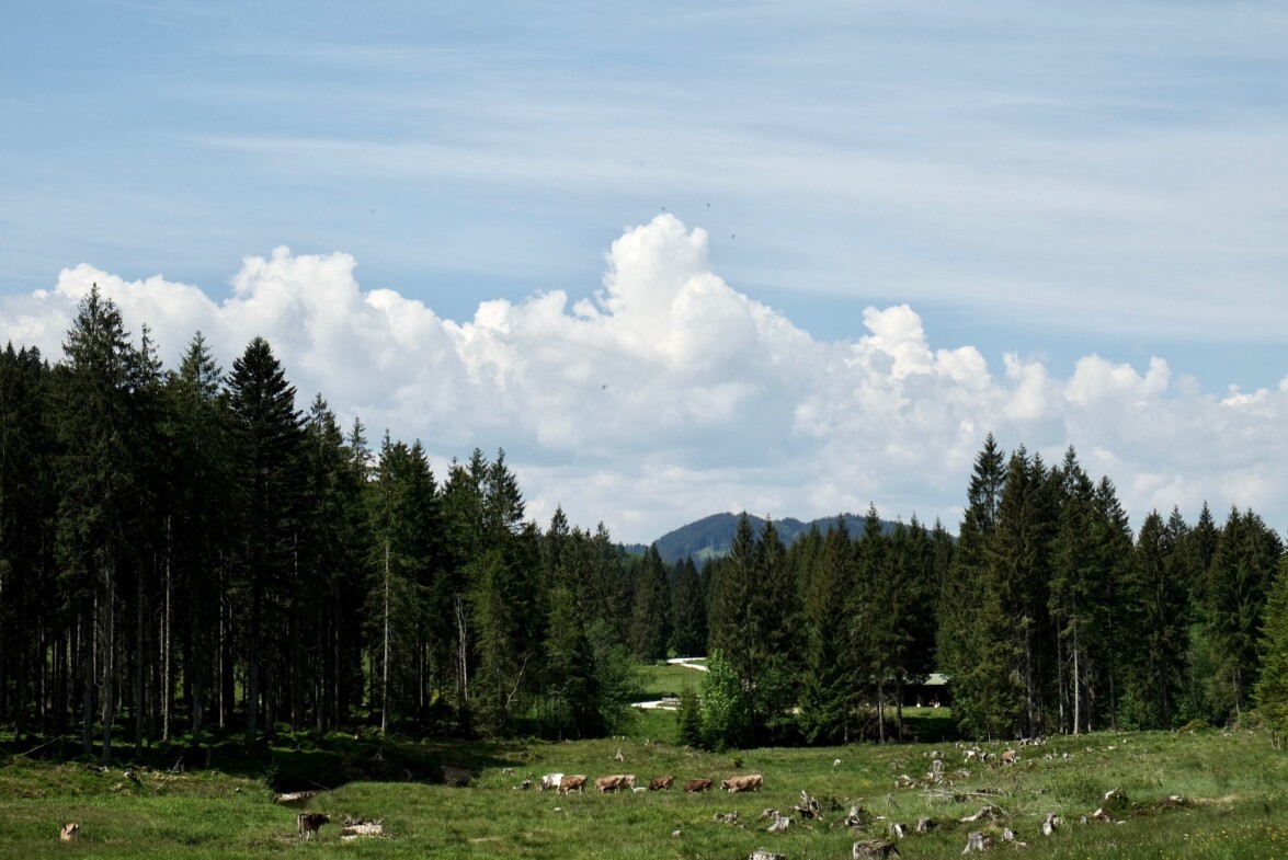 Outville_Family Bikepacking_Staffelsee_Forggensee_Wolkentürme