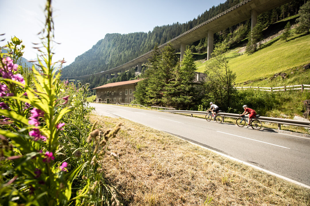 Outville Rennrad Special 10