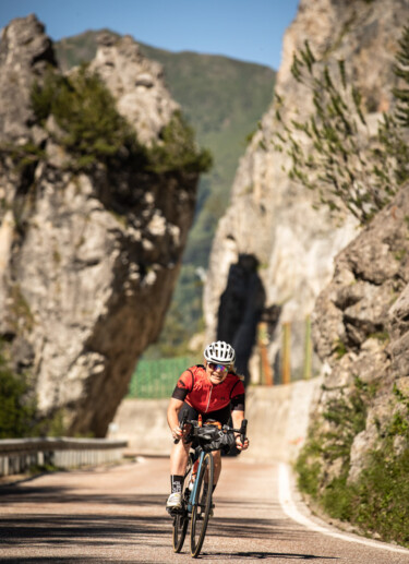 Outville Rennrad Special 65