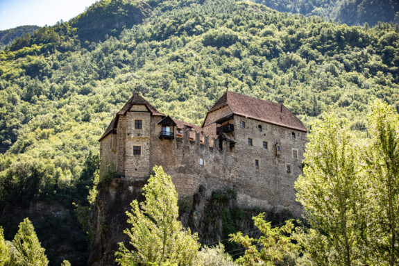 Outville Rennrad Special 75