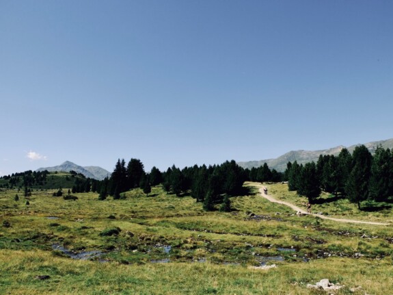 Outville Father&Son Days Nauders 50