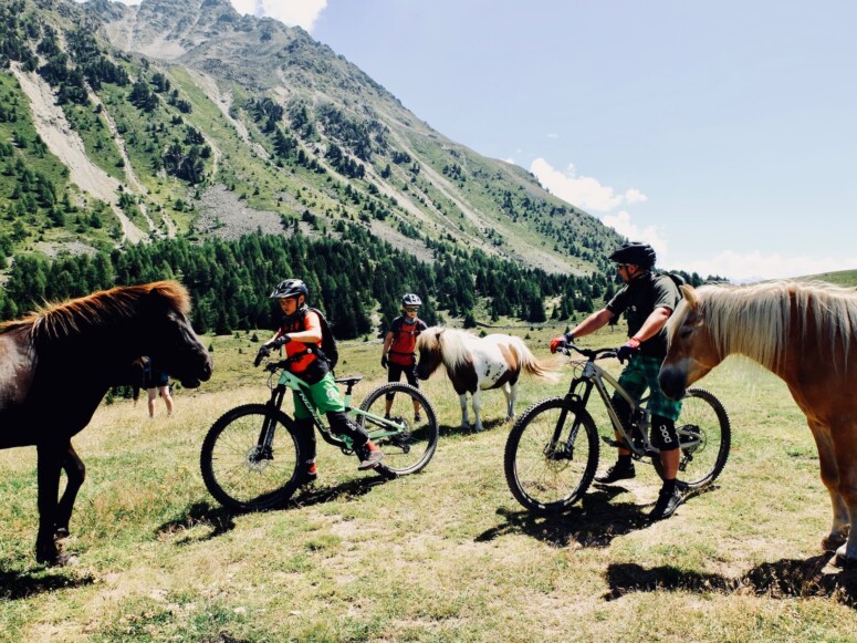 Outville Father&Son Days Nauders 75