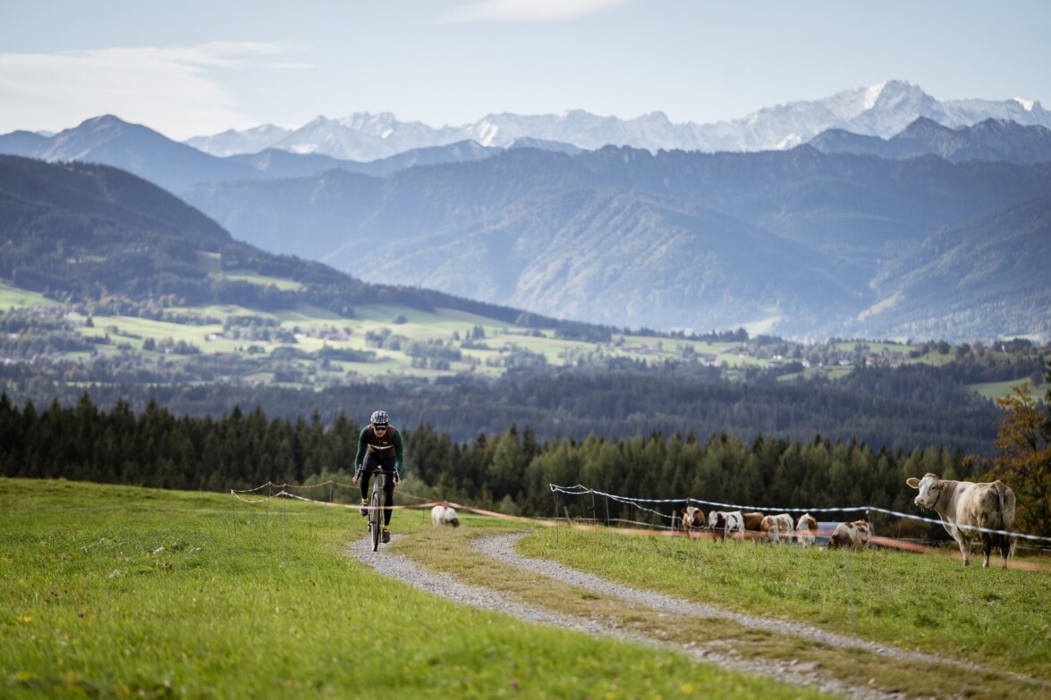 outville traum gravel bike-100