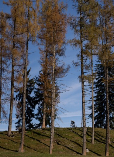 outville traum gravel bike-50
