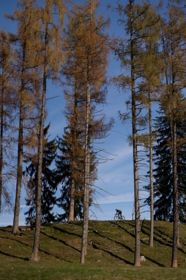 outville traum gravel bike-50