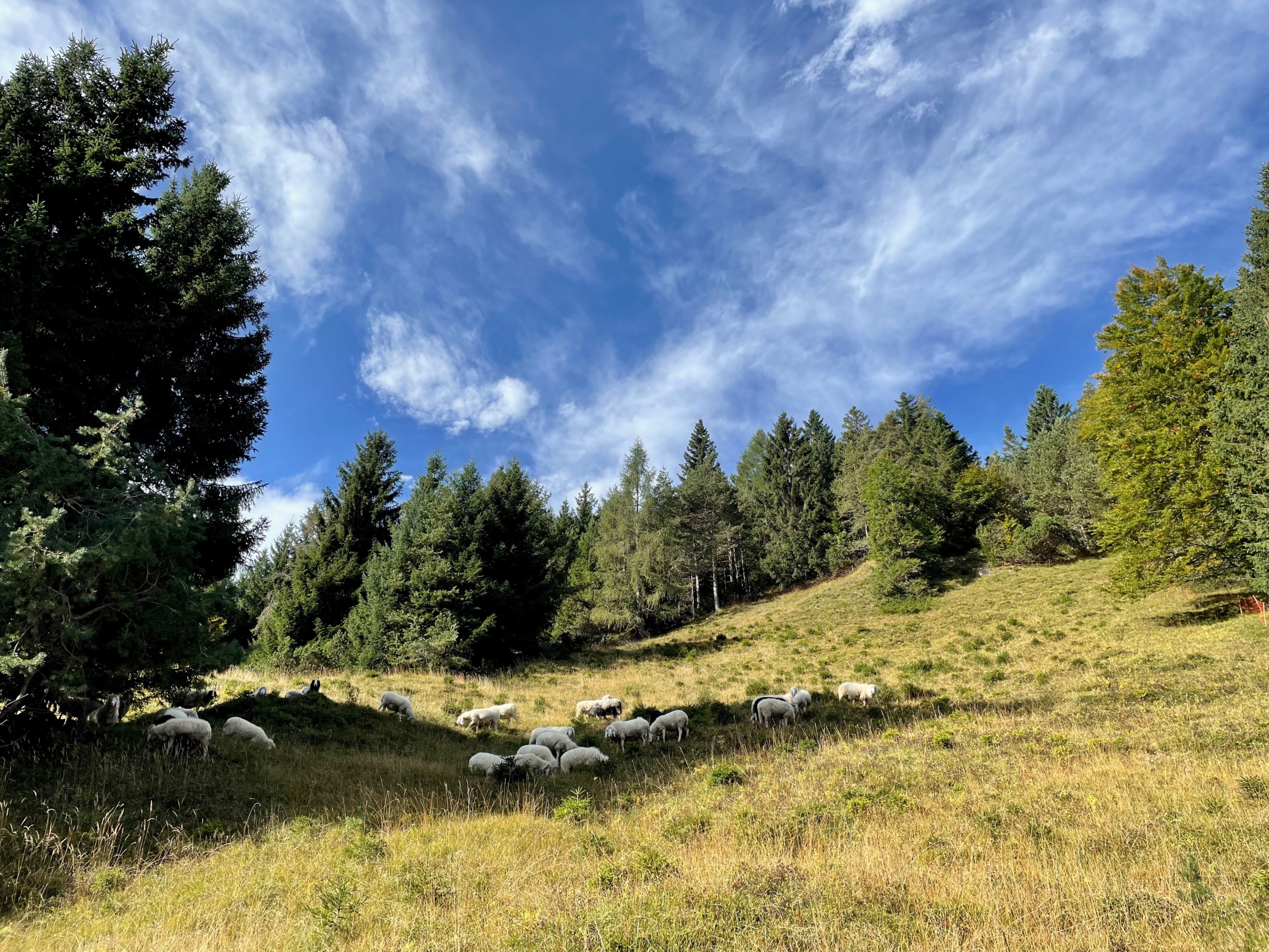 outville_herbstwanderungen hoher kranzberg-004