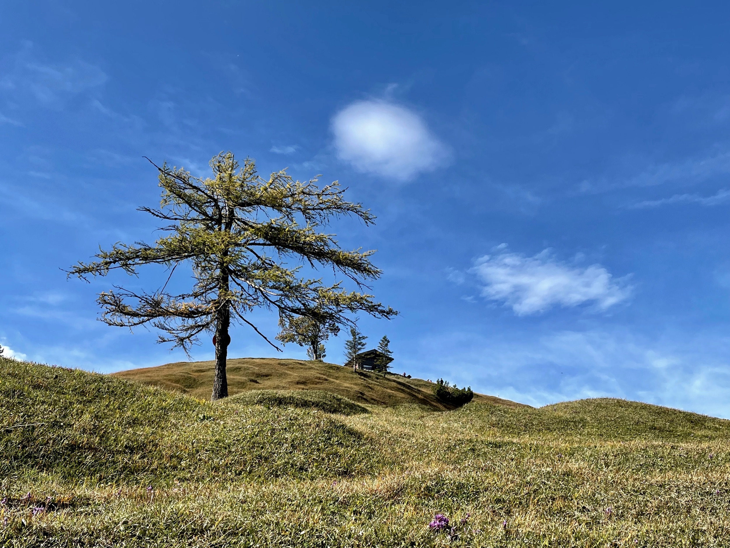 outville_herbstwanderungen hoher kranzberg-008