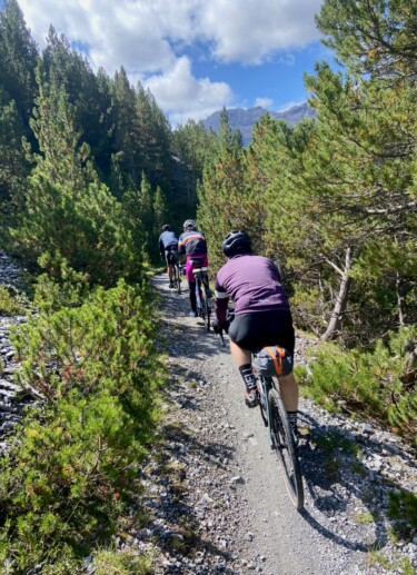 Transalp iPhone - 18 von 34