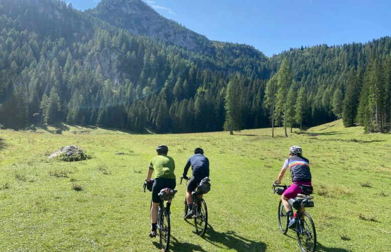 Transalp iPhone - 28 von 34