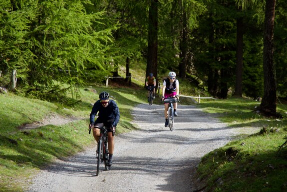Transalp Pics - 37 von 86