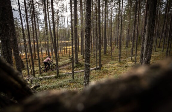 Mountainbiken im Hossa Nationalpark Finnland-31