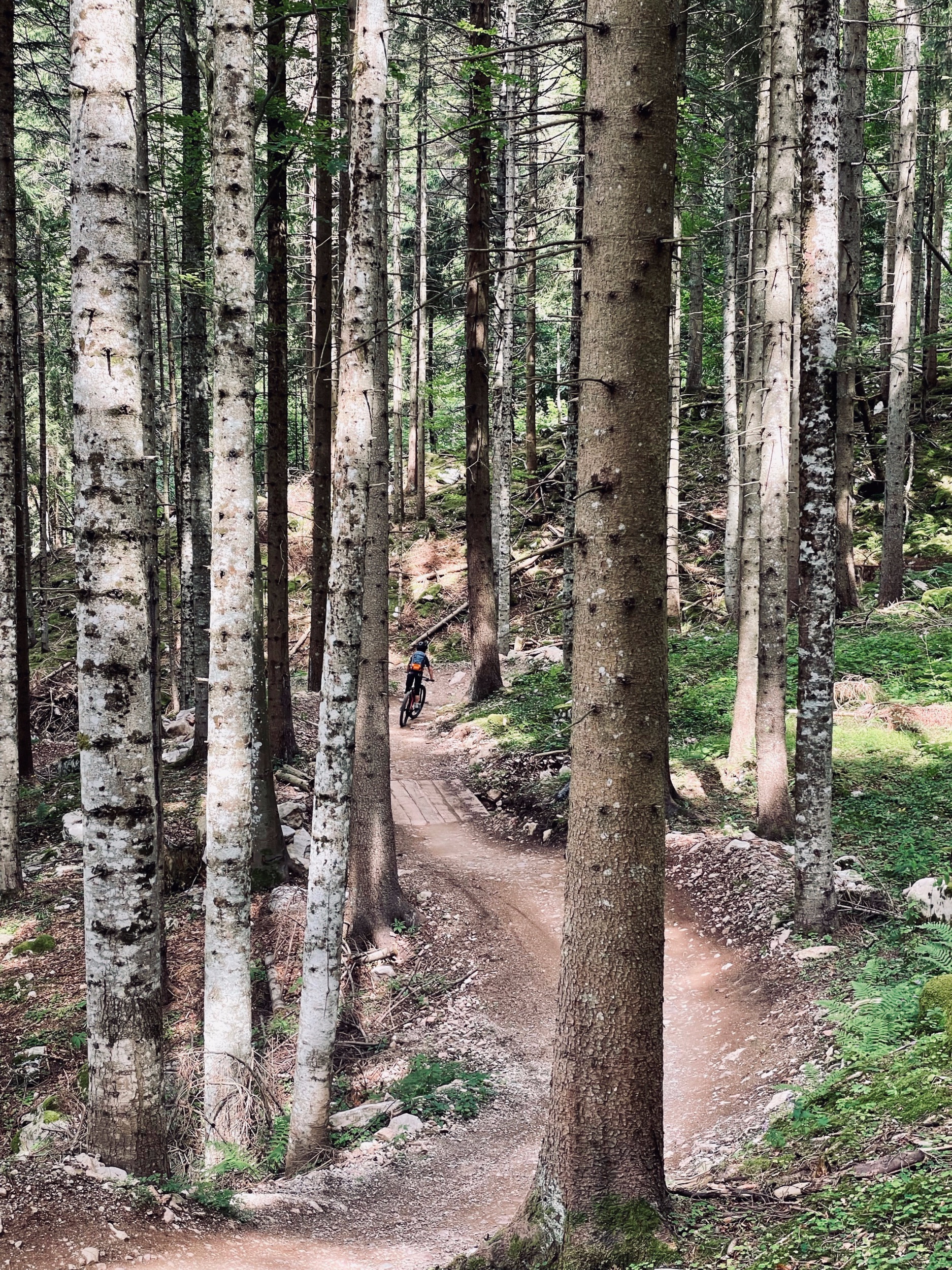 outville_ family bike derby paganella-021