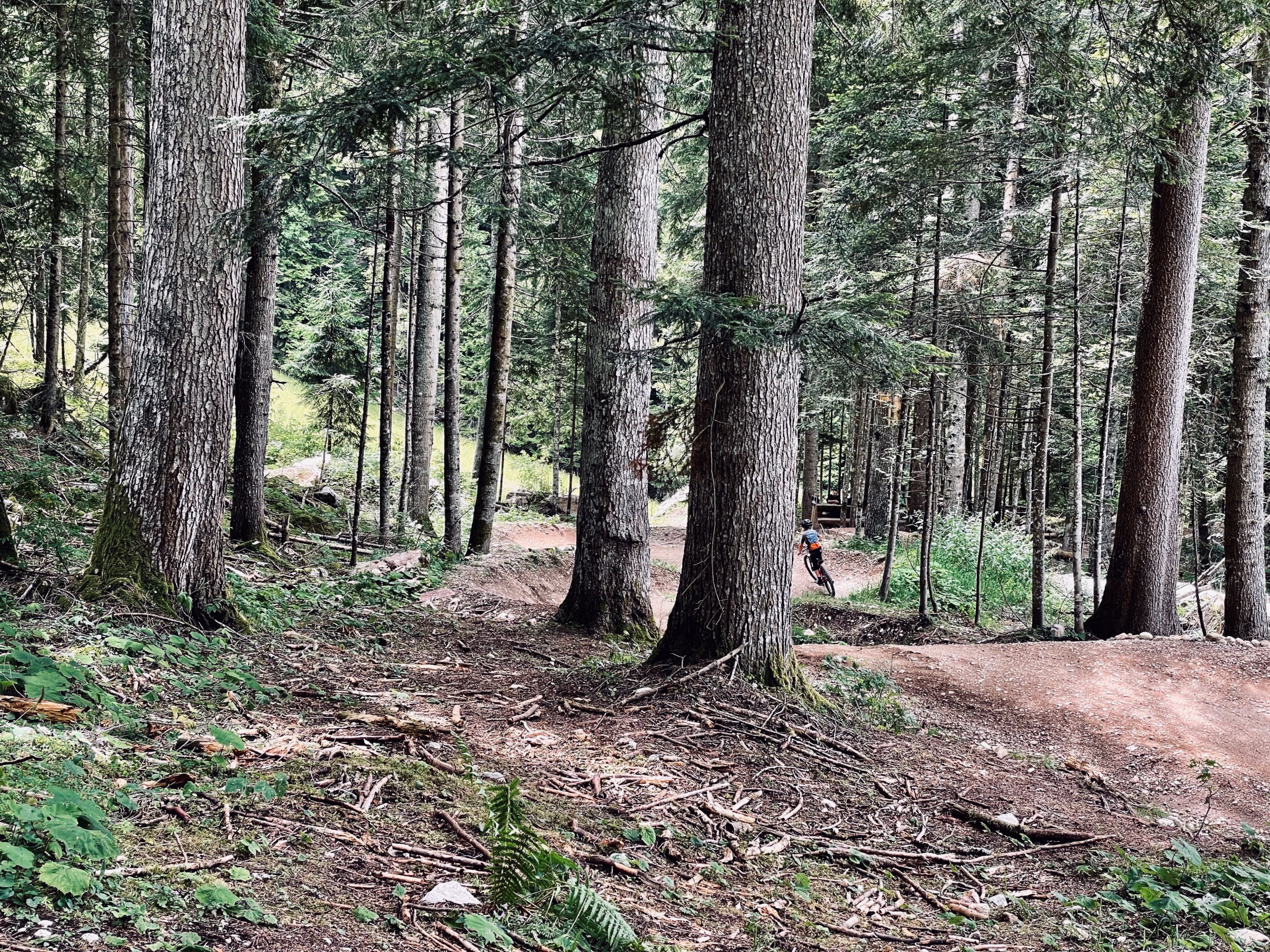 outville_ family bike derby paganella-041