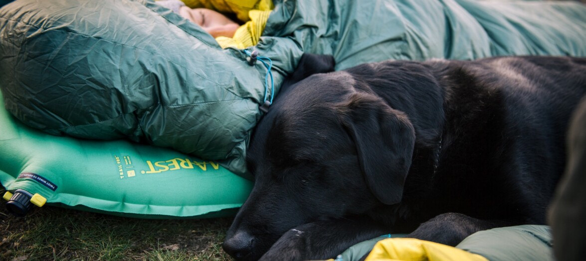 outville-50 jahre therm-a-rest-017