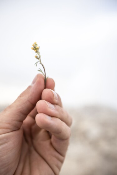 Wanderung zum Pic de Bure