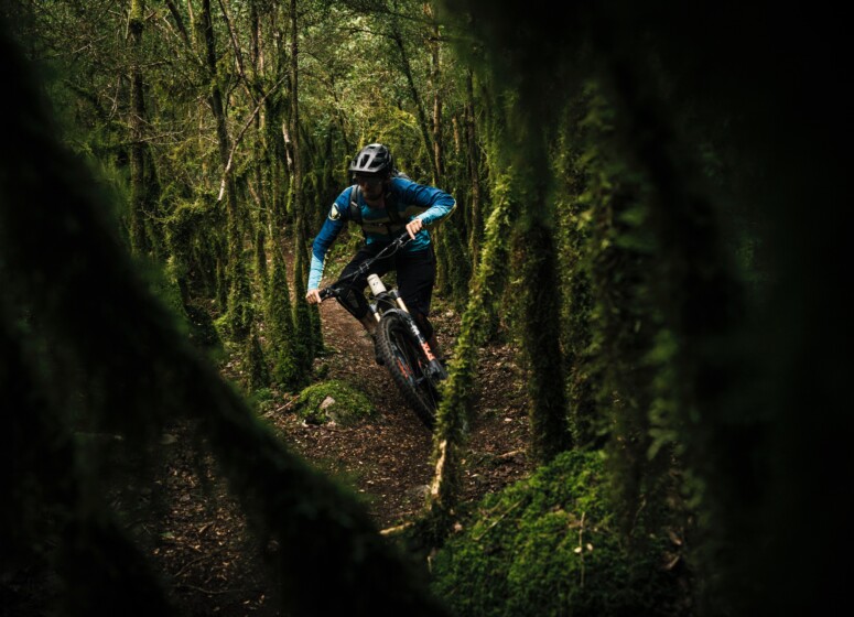 24 Ein Flowtrail durch den Urwald