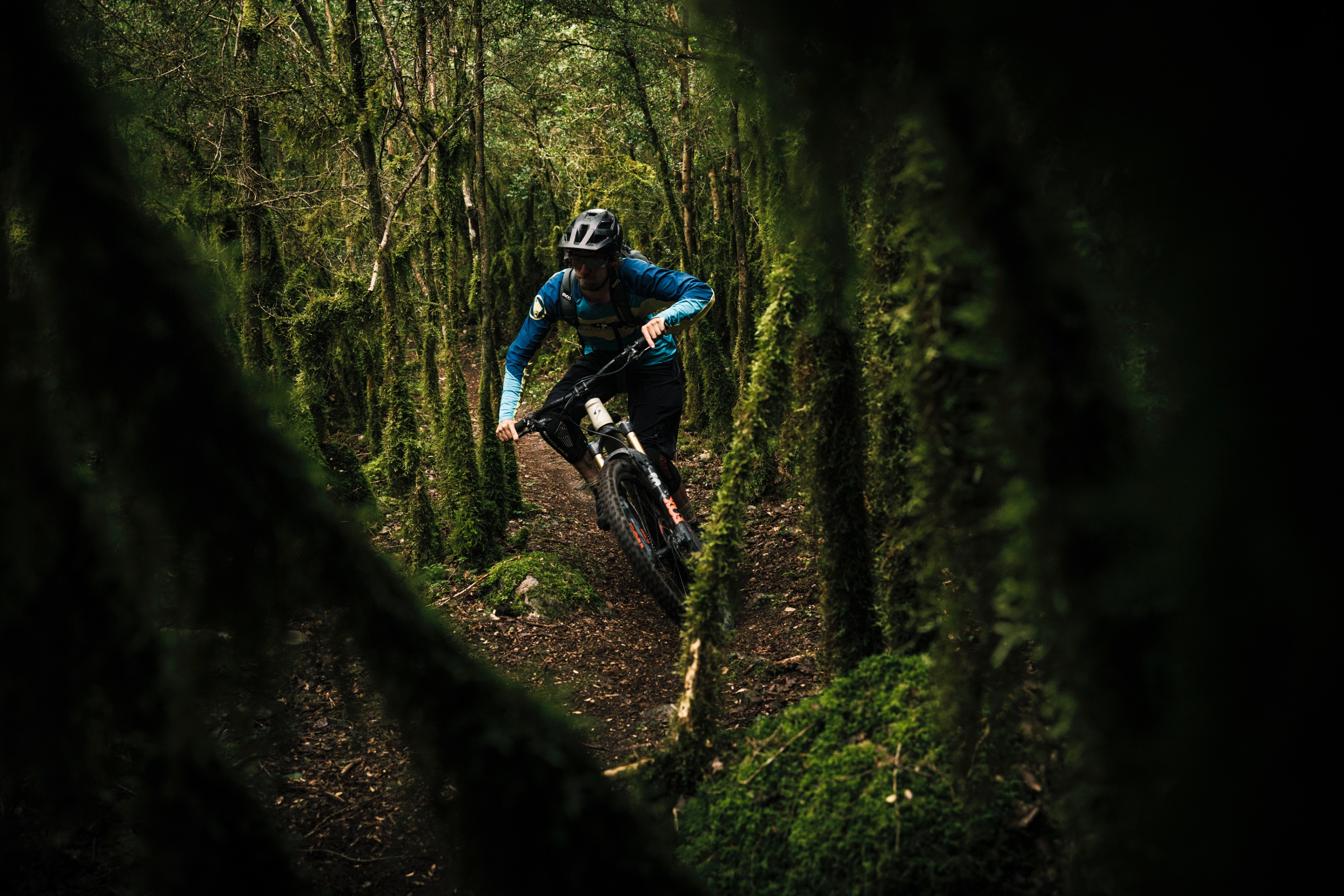 24 Ein Flowtrail durch den Urwald