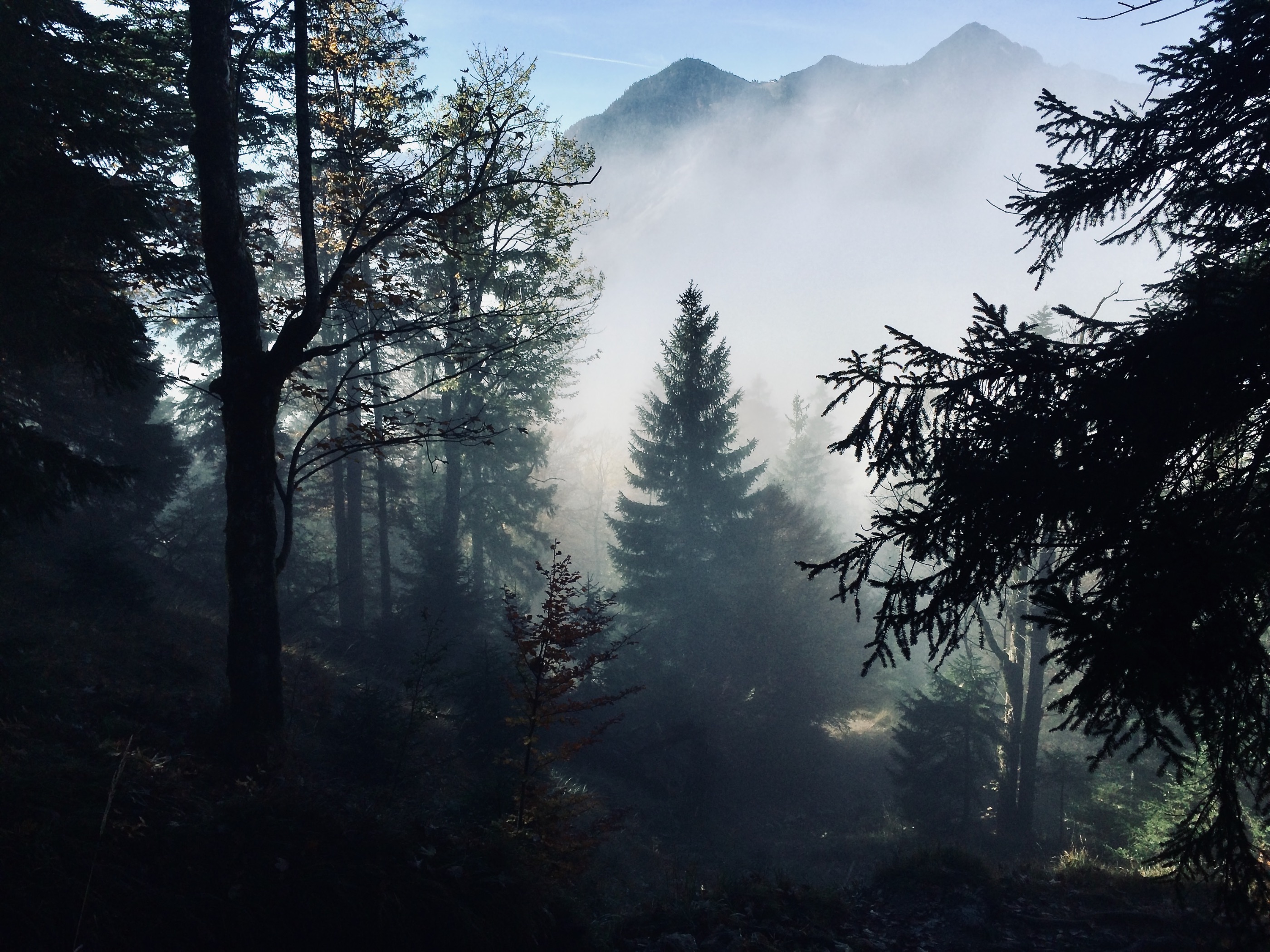 wanderungen ohne pkw_outville-22