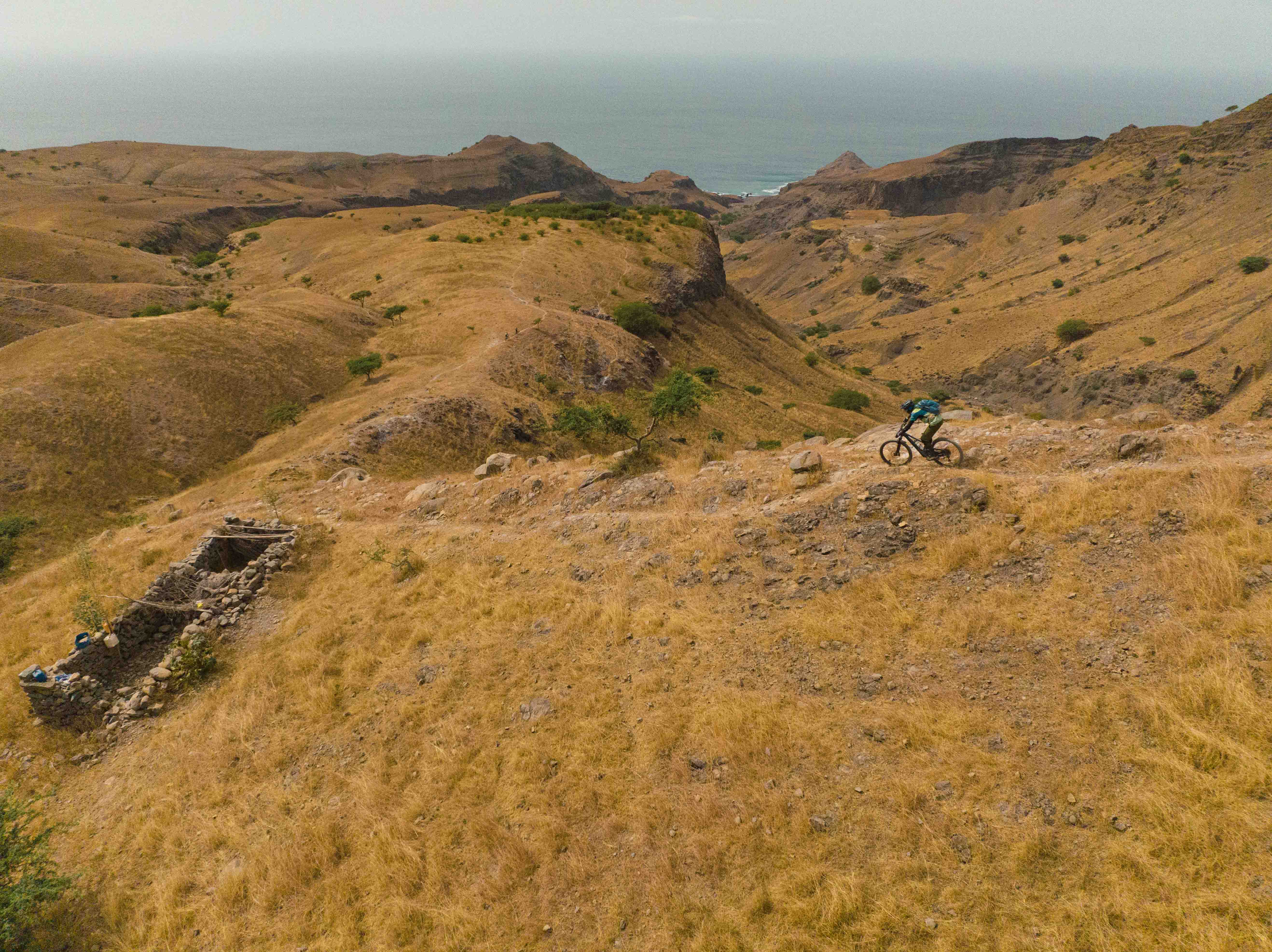 DJI_0236
