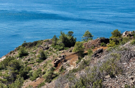 outville_elba mtb-16 outville_elba mtb-16