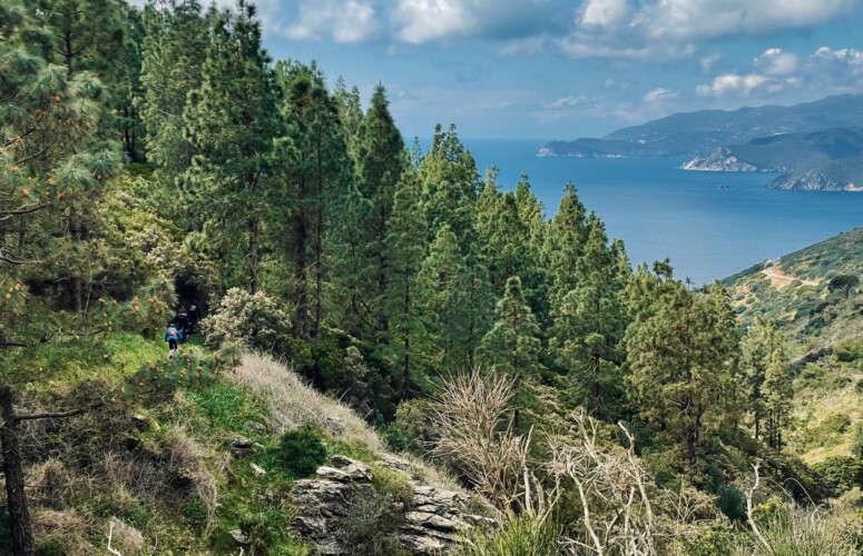 outville_elba mtb-74