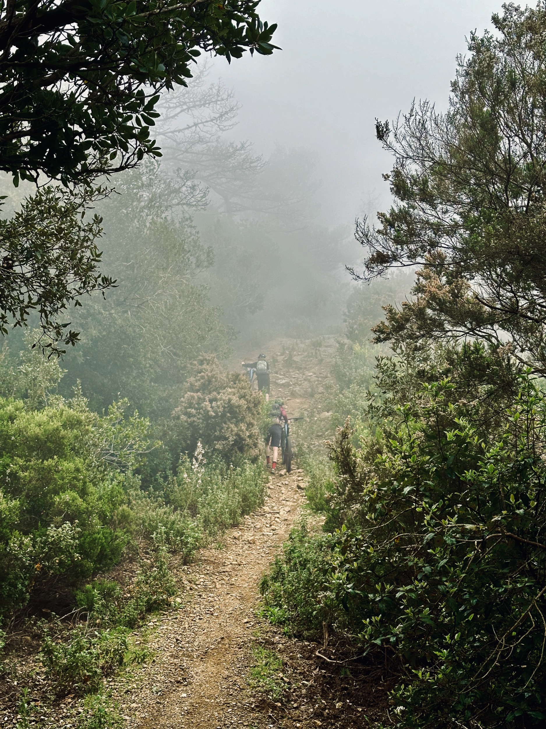 outville_elba mtb-85