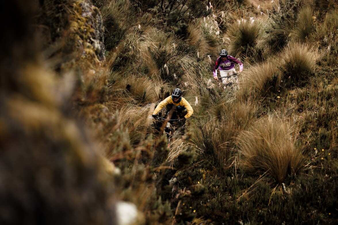 Auch auf 4000m findet man hier noch üppige Vegetation