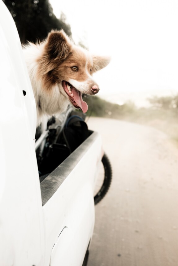 Unser Shuttlegefährte