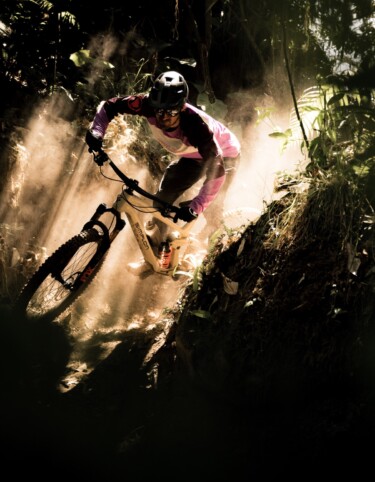 Viel Dschungel und noch mehr Staub