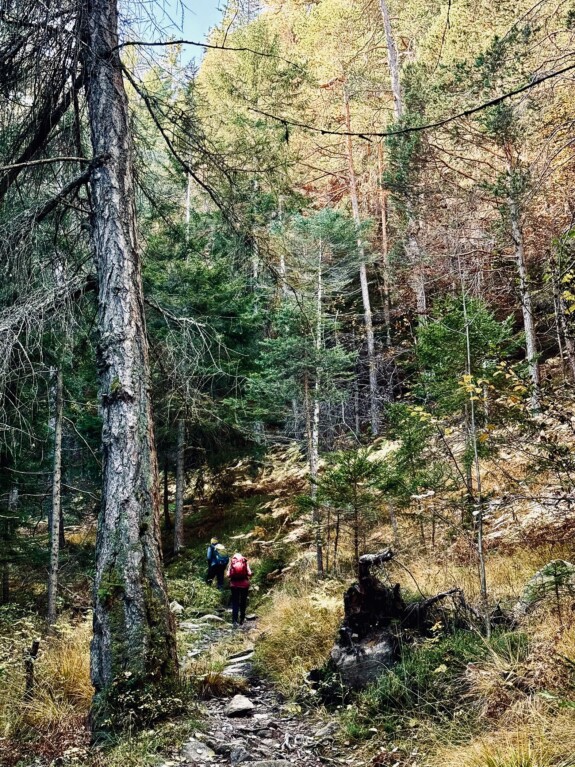 outville_gasthof kohlern-30