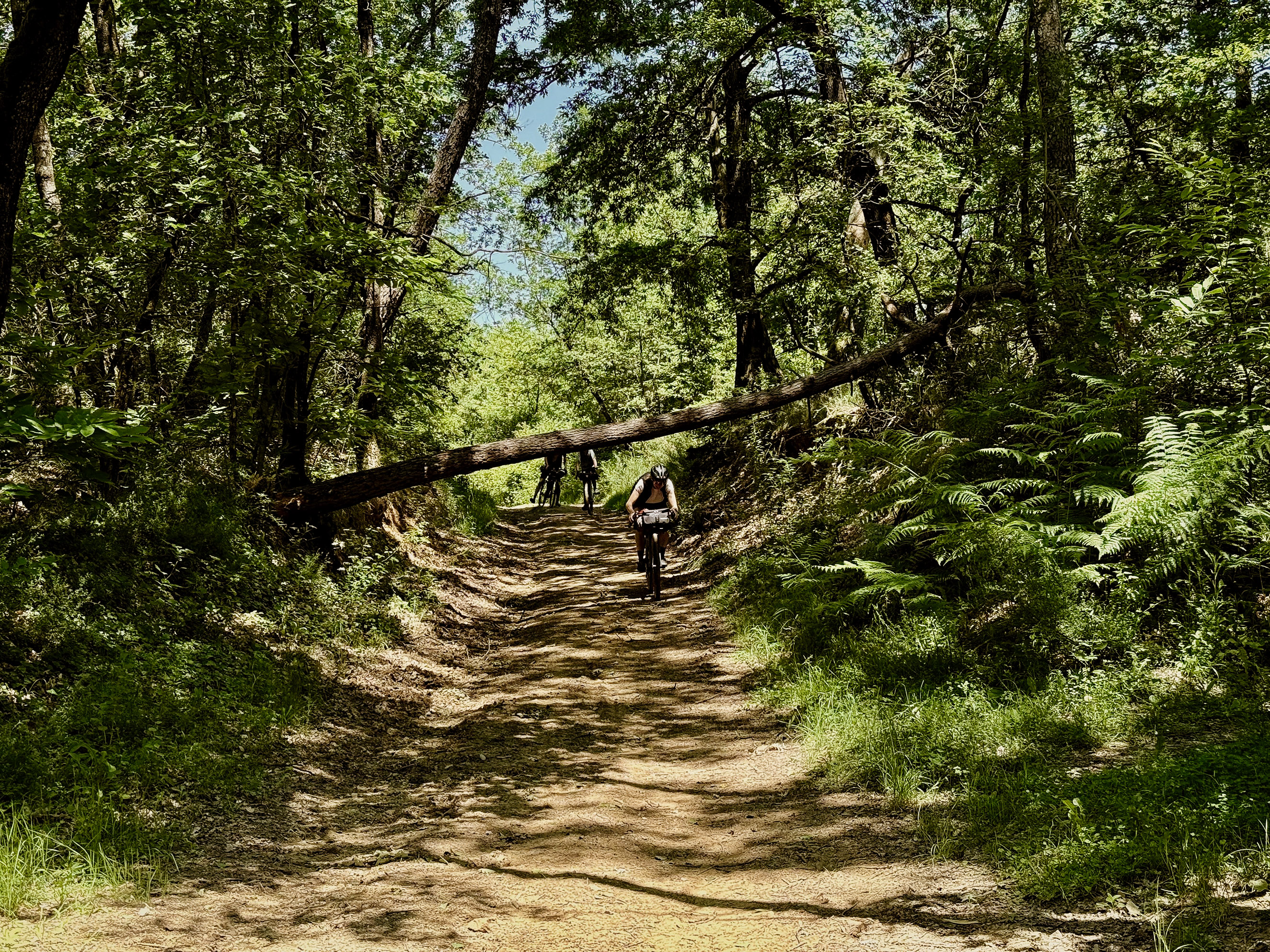 outville bikepacking bologna rom-029