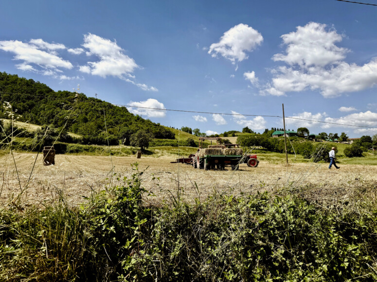 outville bikepacking bologna rom-032